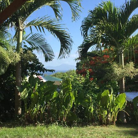 La Suite De Kaz'Hamac Grand-Bourg (Marie Galante) Esterno foto